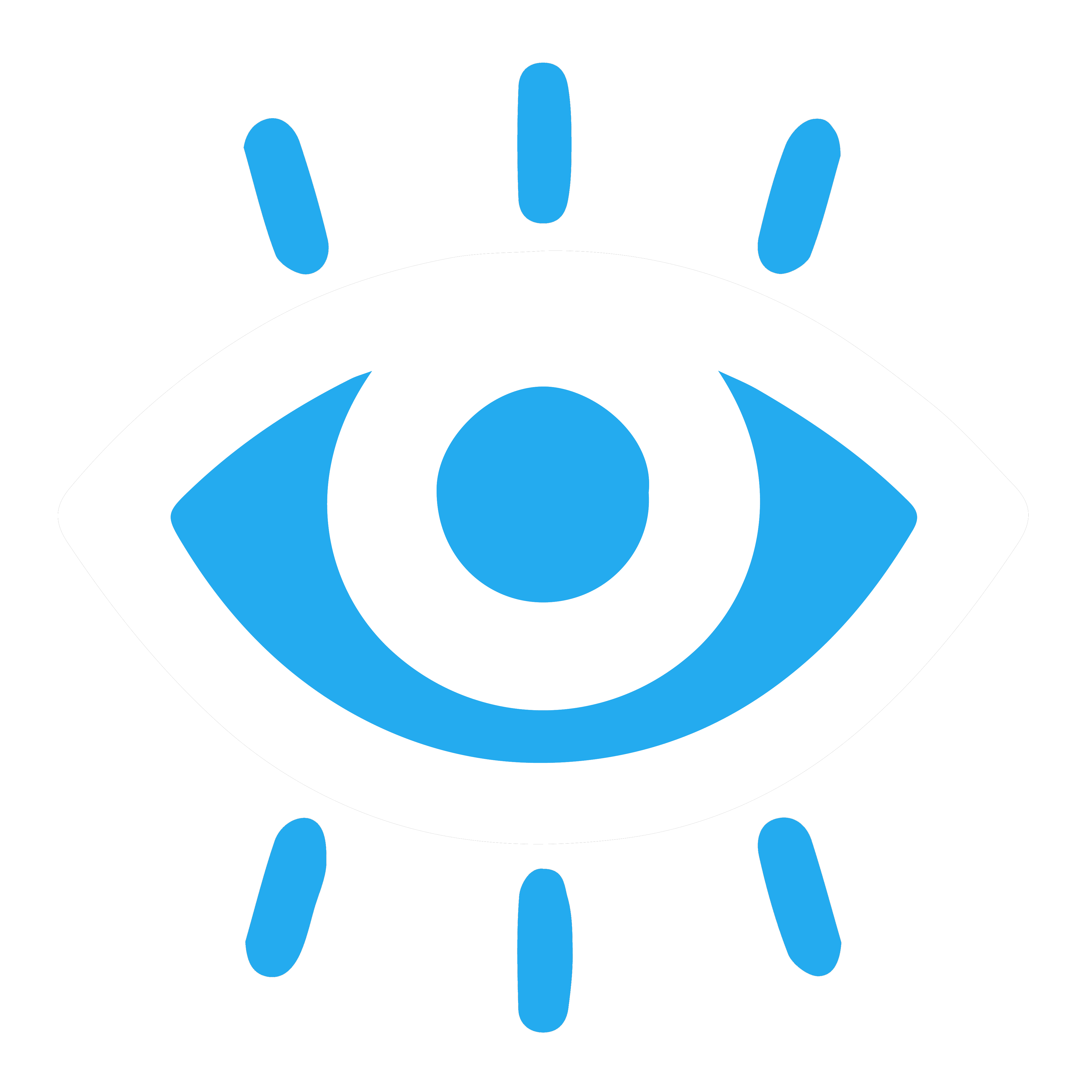 DigiCollect Eye Icon